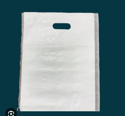 PP Woven Loop Handle Shopping Bags 4